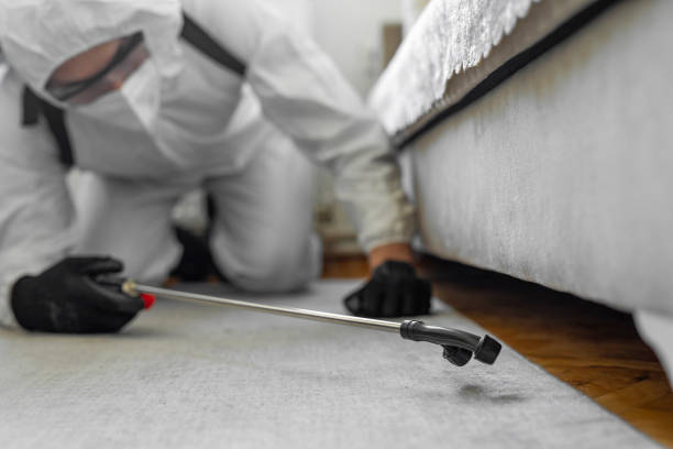 Professional Bed Bug Control technician working in Ashburn, VA