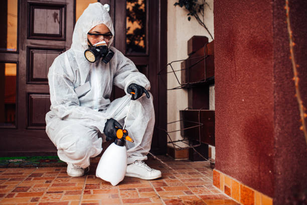 Reliable Bed Bug Control contractor in Ashburn, VA by Nex Pest Control